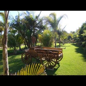 Meet your Posher, Mayra